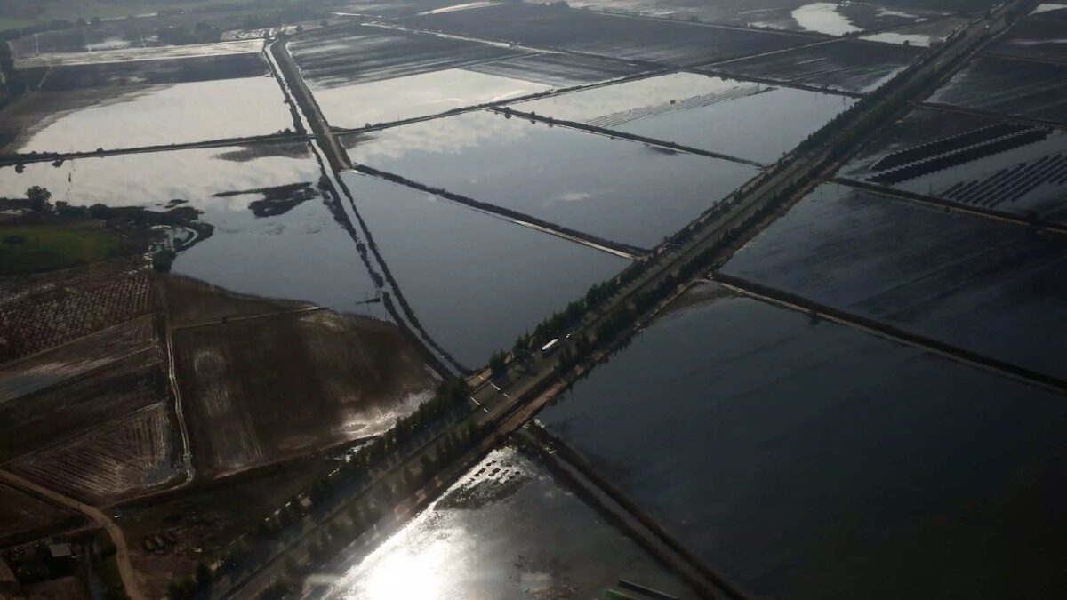 Επίσκεψη του Επιτρόπου Γεωργίας της ΕΕ Γιάνους Βοϊτσεχόφσκι σε περιοχές της Θεσσαλίας που επλήγησαν από τις πρόσφατες πλημμύρες Πέμπτη 5 Οκτωβρίου 2023.