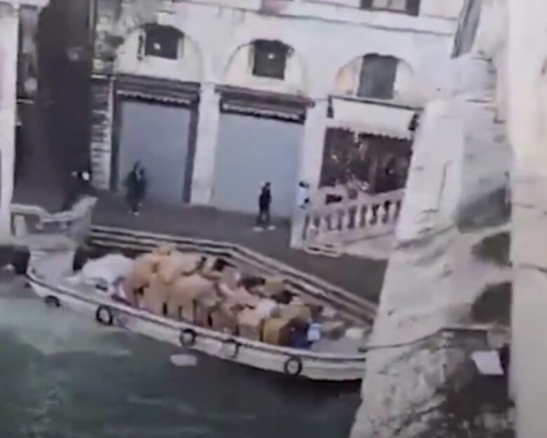 Βενετία: Γυναίκα έκλεψε σκάφος με δέματα και «καρφώθηκε» στον τοίχο δίπλα από τη διάσημη γέφυρα του Ριάλτο