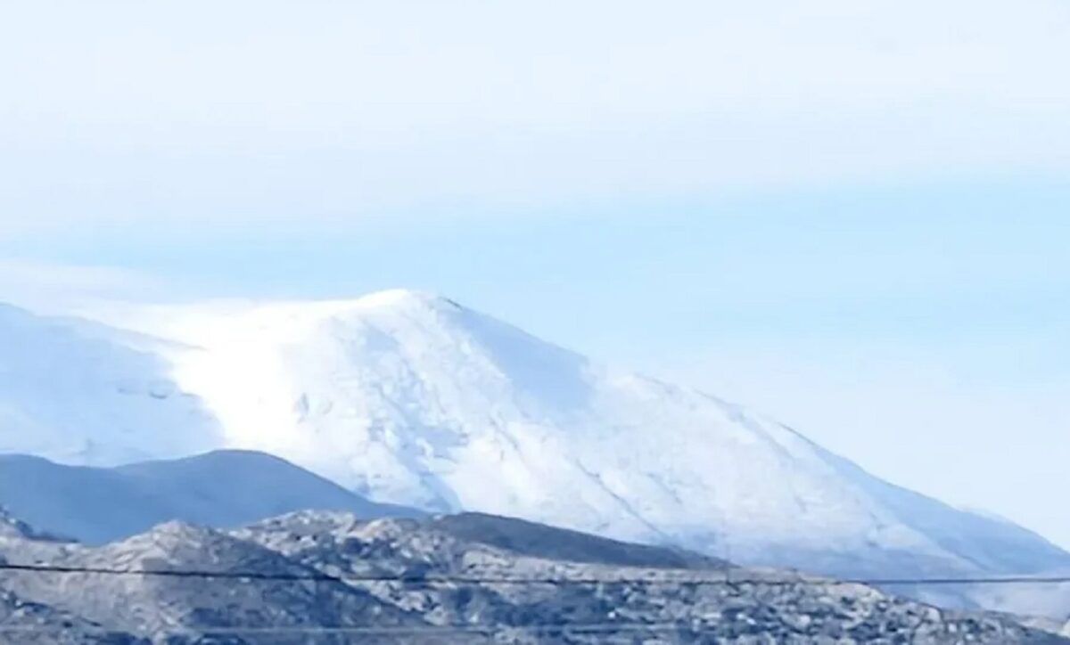 Ψηλορείτης