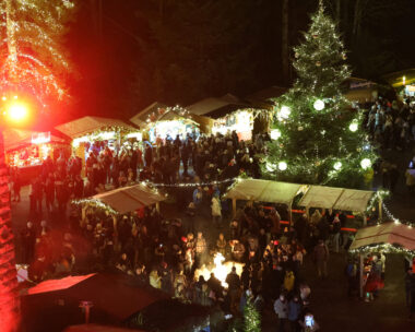 Χριστουγεννιάτικη αγορά στη Γερμανία