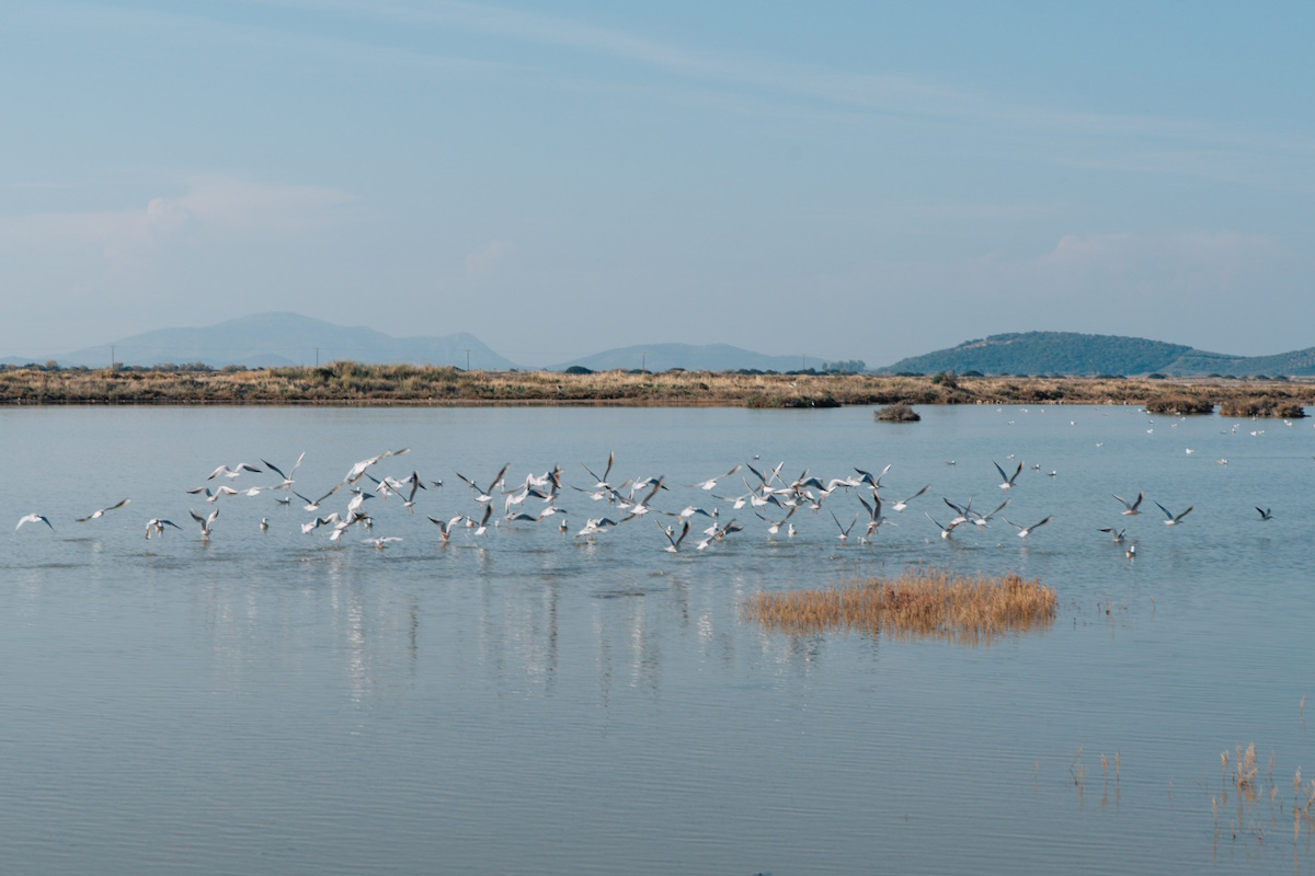 ypertameio ellinikes alykes stratigikos ependytis