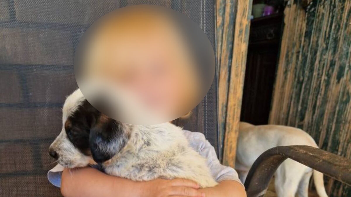 Το παιδάκι που έχασε τη ζωή του στη Ζάκυνθο