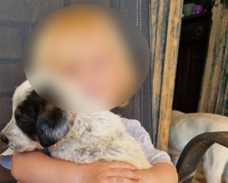 Τραγωδία στη Ζάκυνθο: «Το πίτμπουλ τρόμαξε από πυροβολισμούς κυνηγών και κατασπάραξε τον Λίο», λέει η μητέρα του 2χρονου