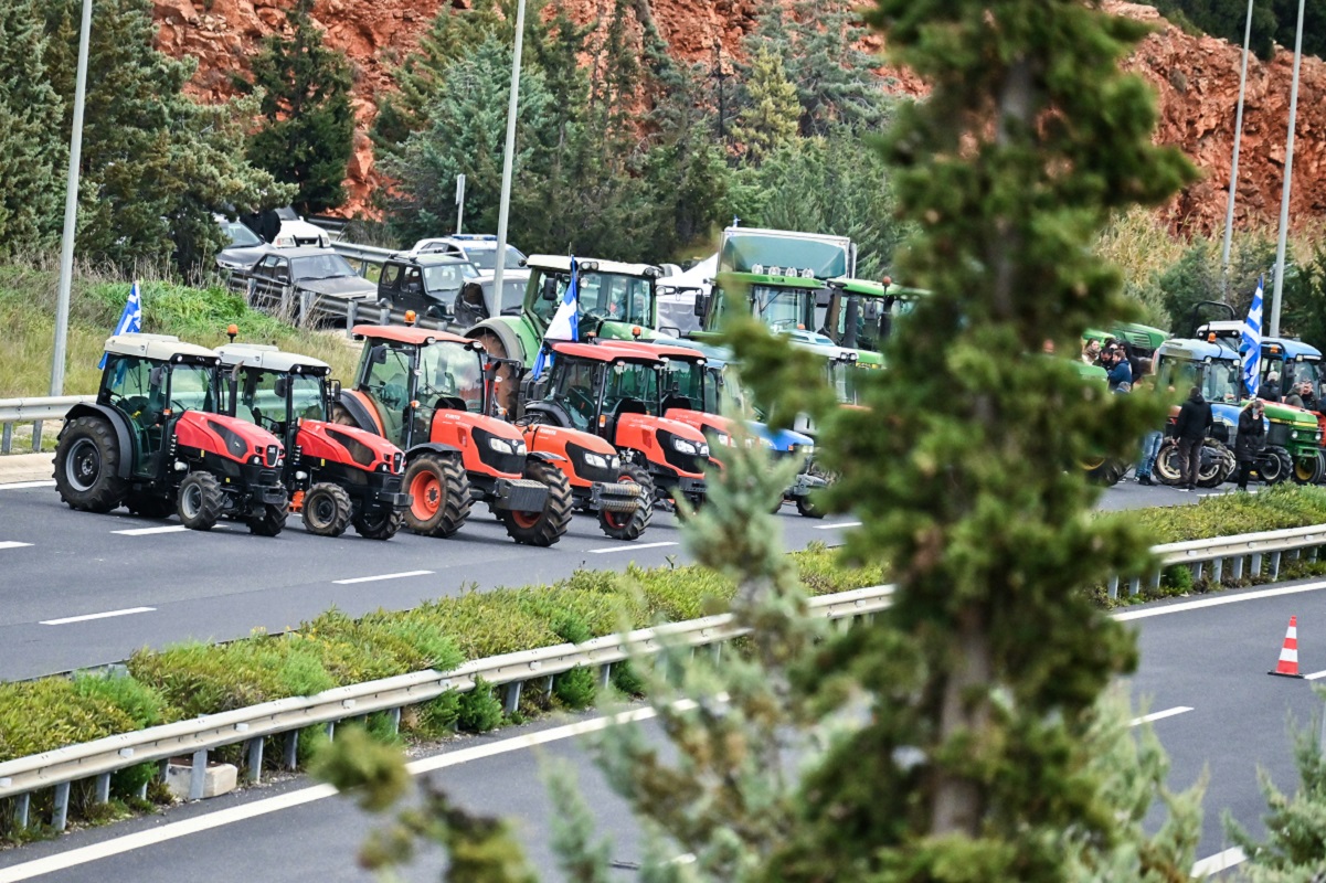 ΦΩΤΟ ΑΡΧΕΙΟΥ ΒΑΣΙΛΗΣ ΠΑΠΑΔΟΠΟΥΛΟΣ