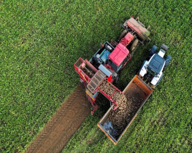 Συγκομιδή σε χωράφι