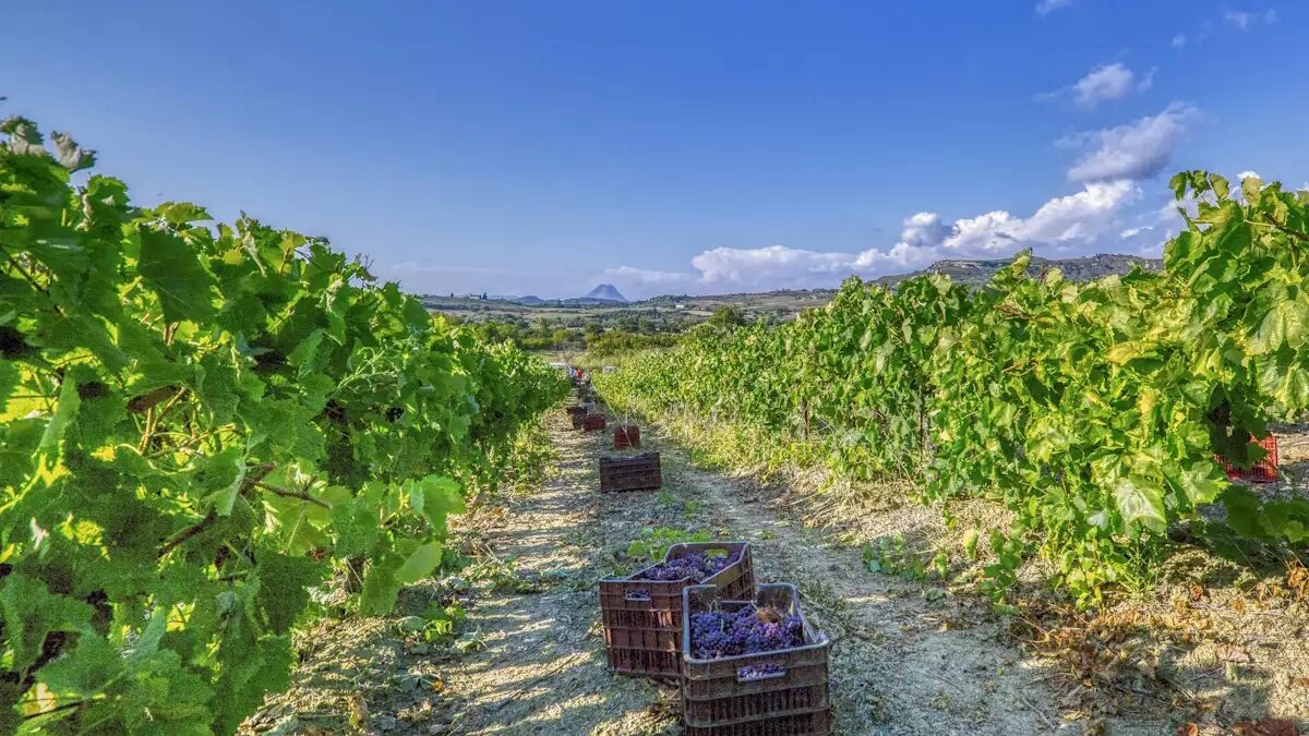 Φωτογραφία: Eurokinissi