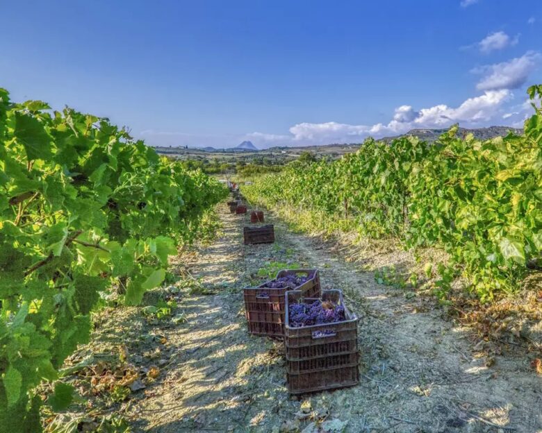 Φωτογραφία: Eurokinissi