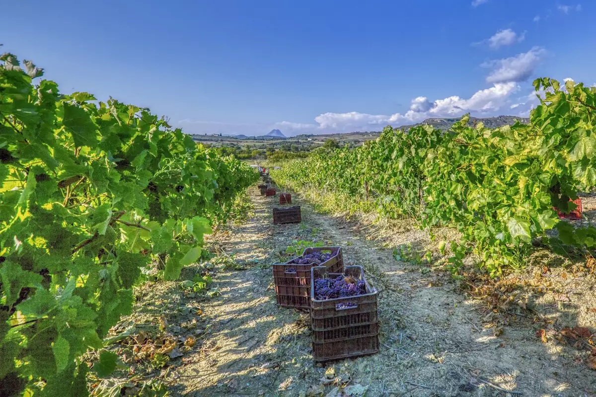 Φωτογραφία: Eurokinissi