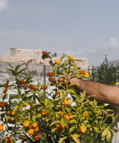 Το Amphibian ανοίγει στη Στέγη και ταράζει τα «νερά» της πόλης