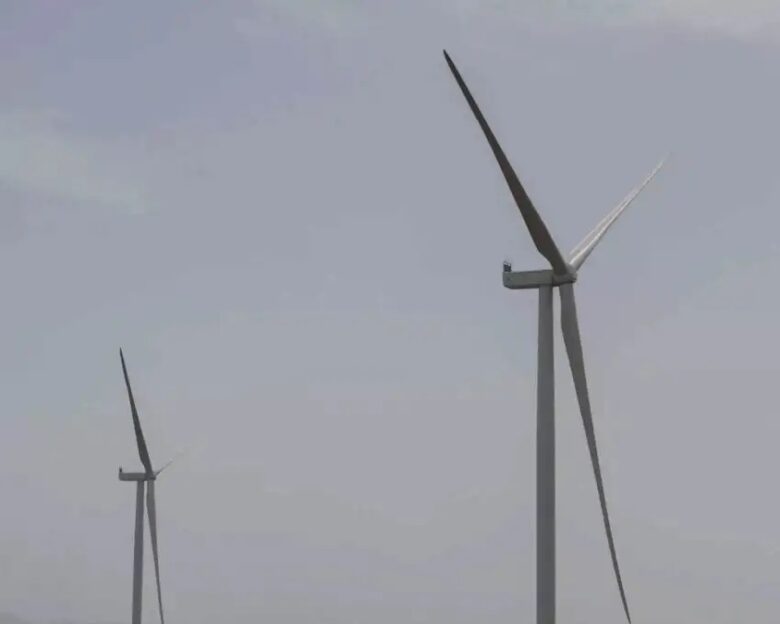 ΠΑΝΑΓΙΩΤΗΣ ΣΤΟΛΗΣ