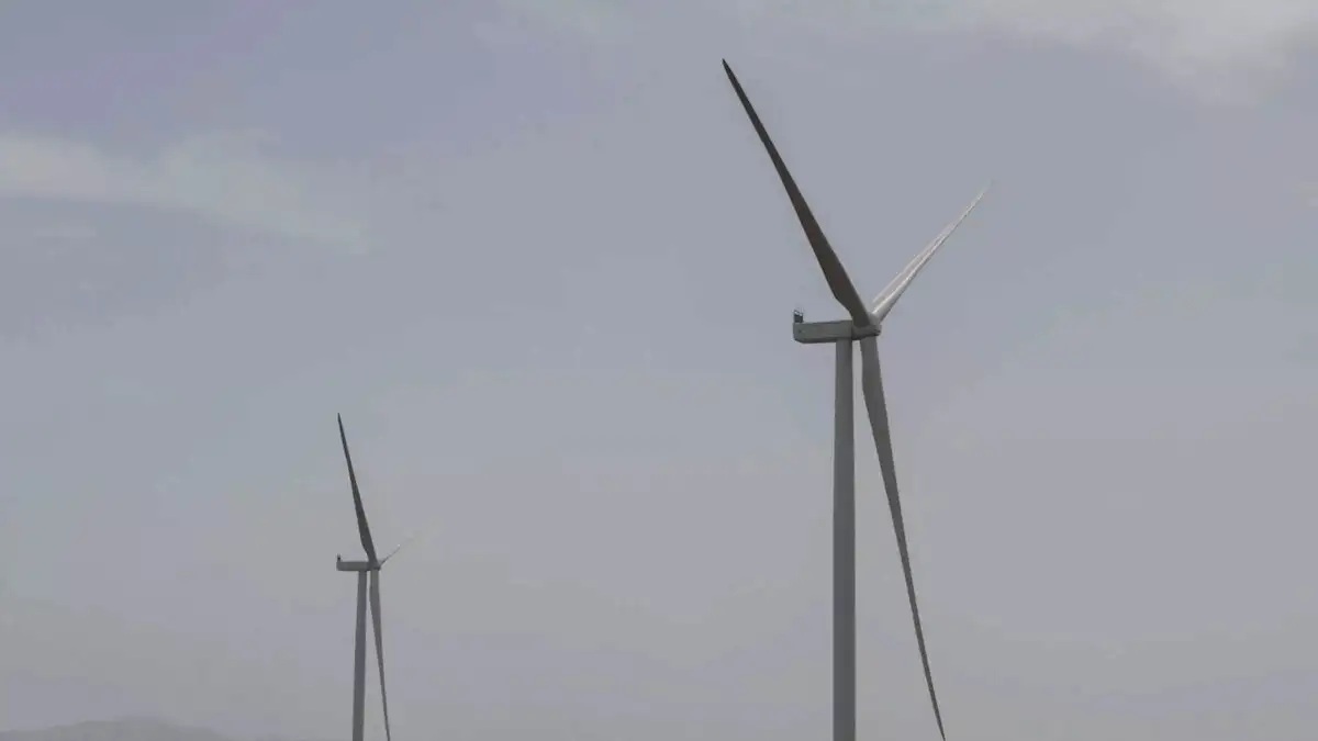 ΠΑΝΑΓΙΩΤΗΣ ΣΤΟΛΗΣ