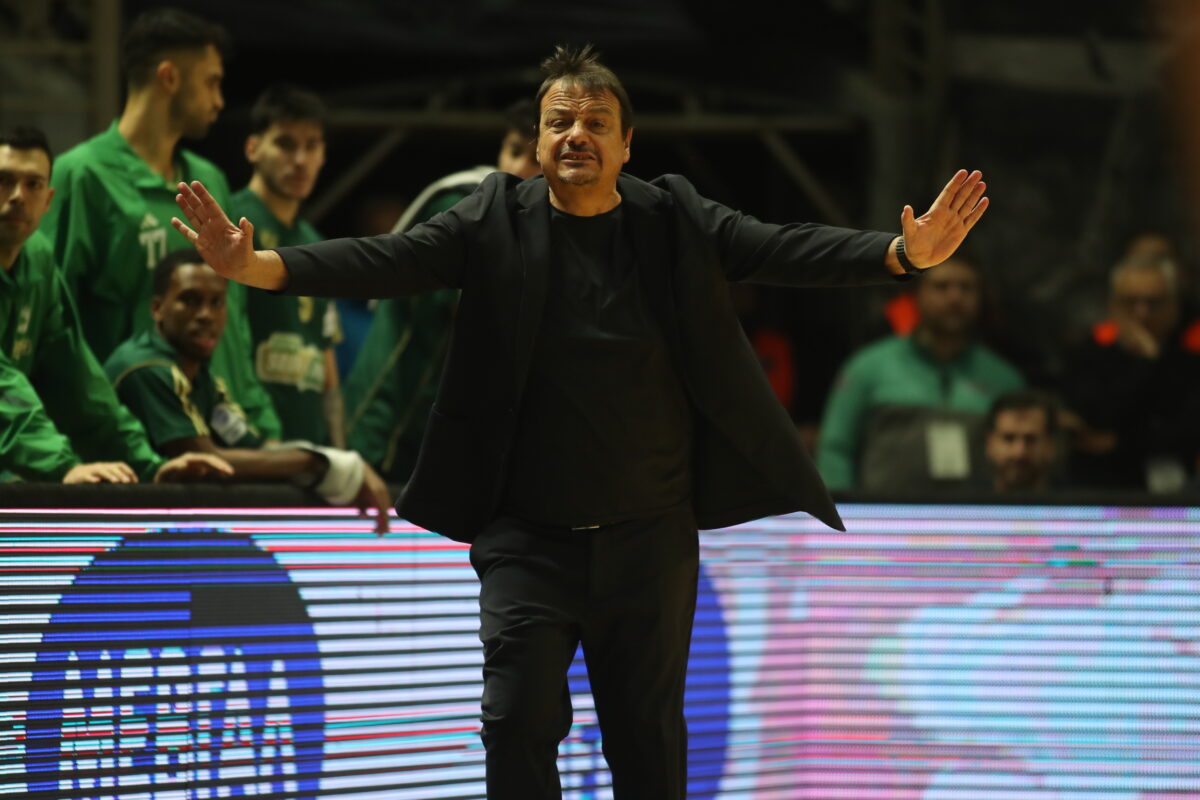 ΒΑΣΙΛΗΣ ΒΕΡΒΕΡΙΔΗΣ