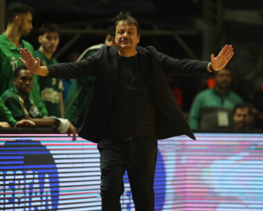 ΒΑΣΙΛΗΣ ΒΕΡΒΕΡΙΔΗΣ