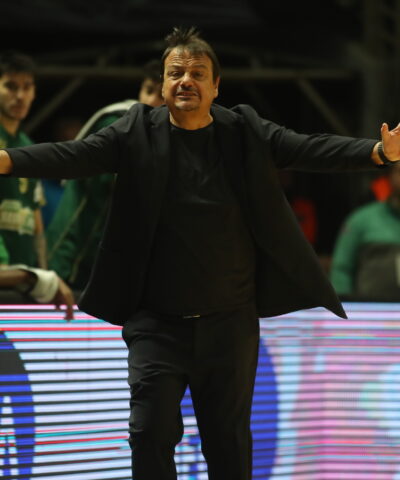 ΒΑΣΙΛΗΣ ΒΕΡΒΕΡΙΔΗΣ