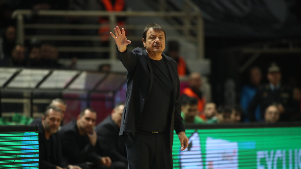 ΒΑΣΙΛΗΣ ΒΕΡΒΕΡΙΔΗΣ