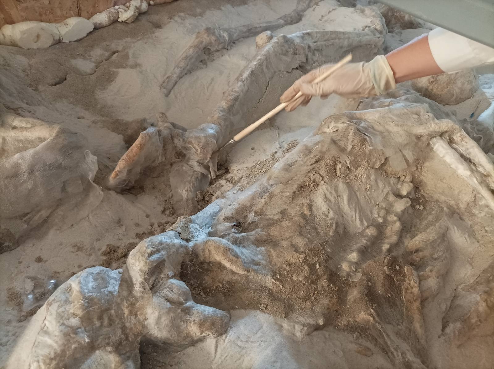 Οι «Δεσμώτες»