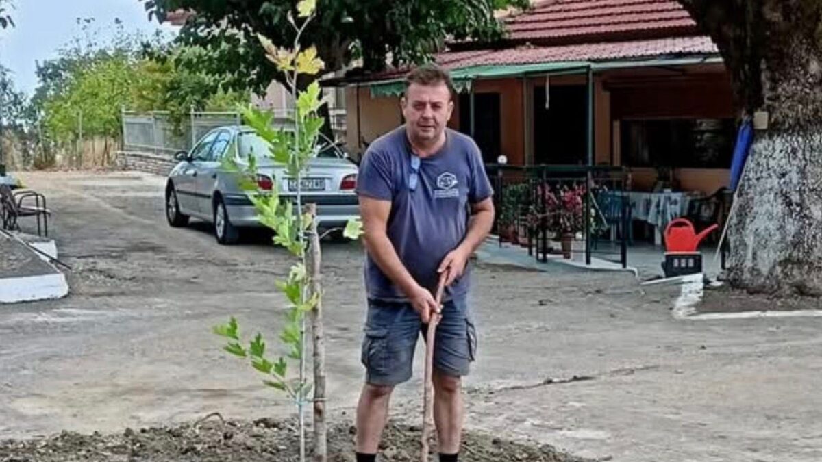 Κώστας Αλεξανδρής