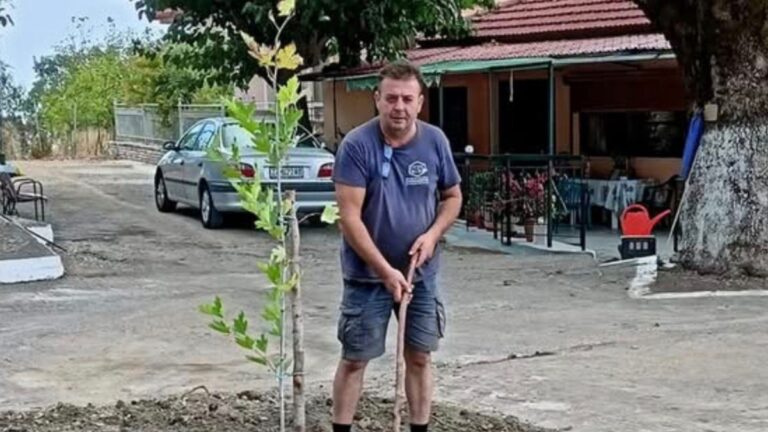 Κώστας Αλεξανδρής