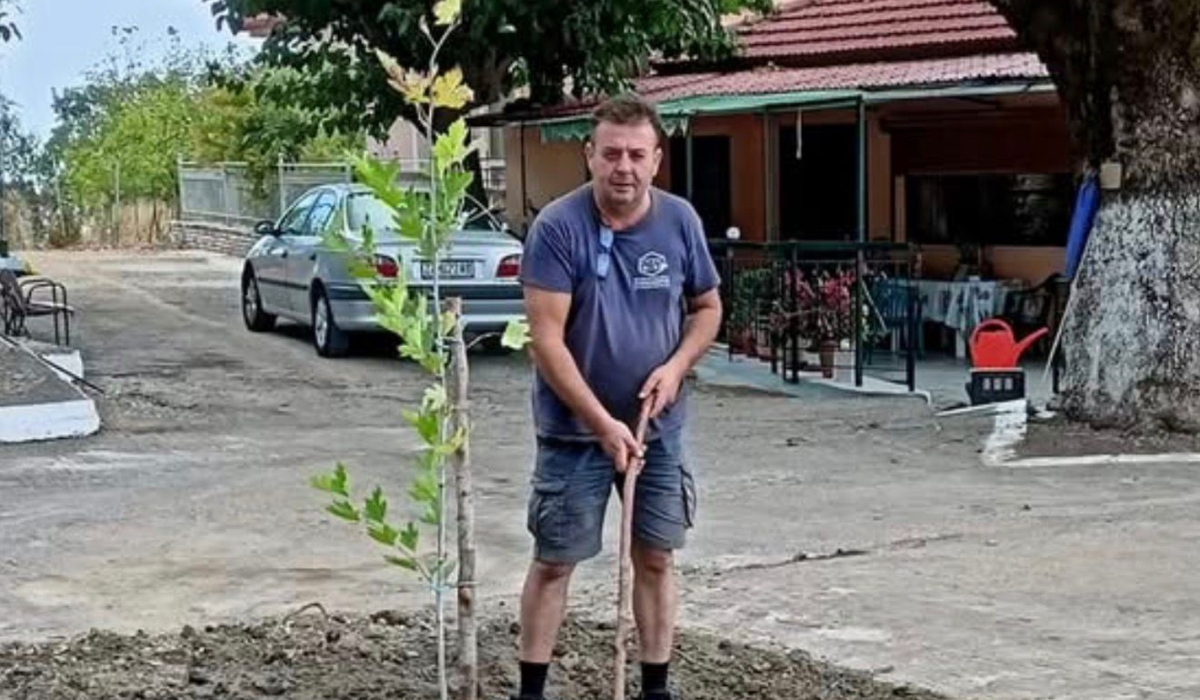 Κώστας Αλεξανδρής