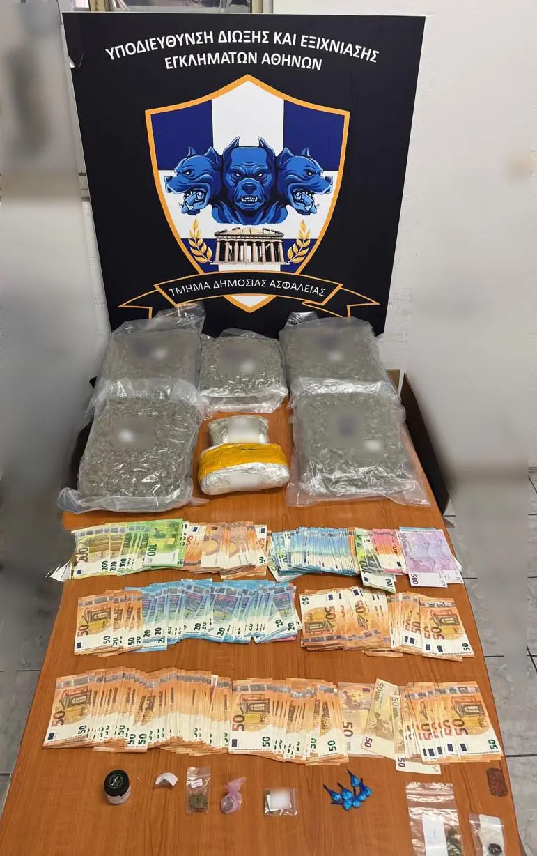 epixeirisi zwgrafou elas