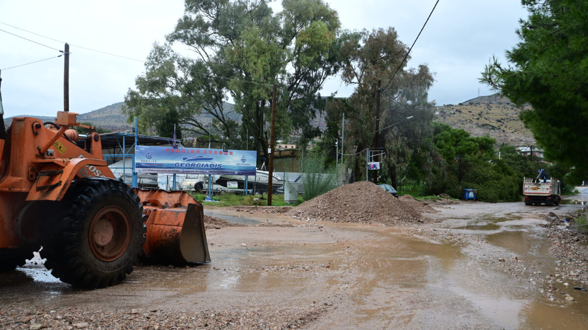  (ΤΑΤΙΑΝΑ ΜΠΟΛΑΡΗ