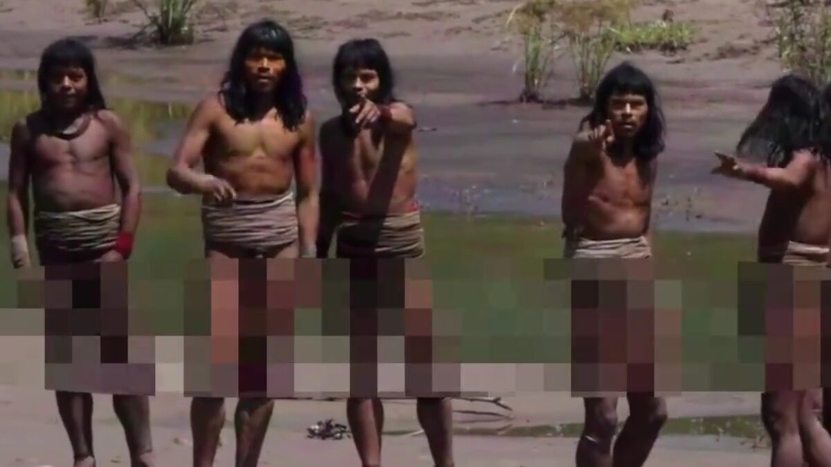 Φυλή Αμαζονίου