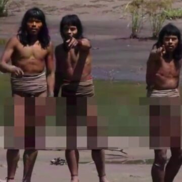 Φυλή Αμαζονίου