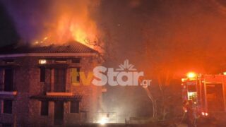 Φωτιά στην Αράχωβα