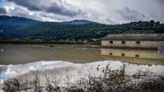 ΦΩΤΟ ΑΡΧΕΙΟΥ ΓΙΩΡΓΟΣ ΕΥΣΤΑΘΙΟΥ