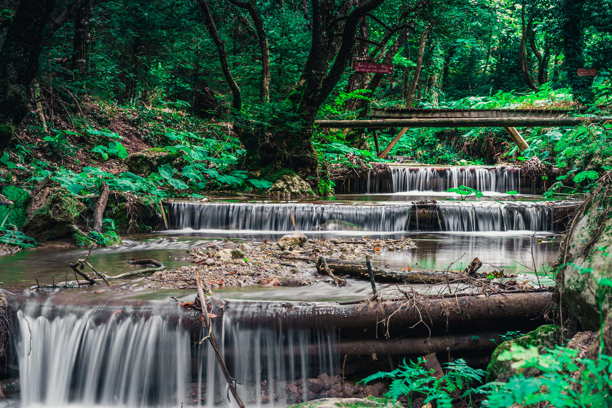 Autumn landscape - river waterfall in colorful tropical forest of Pavliani Greece with lush green leaves