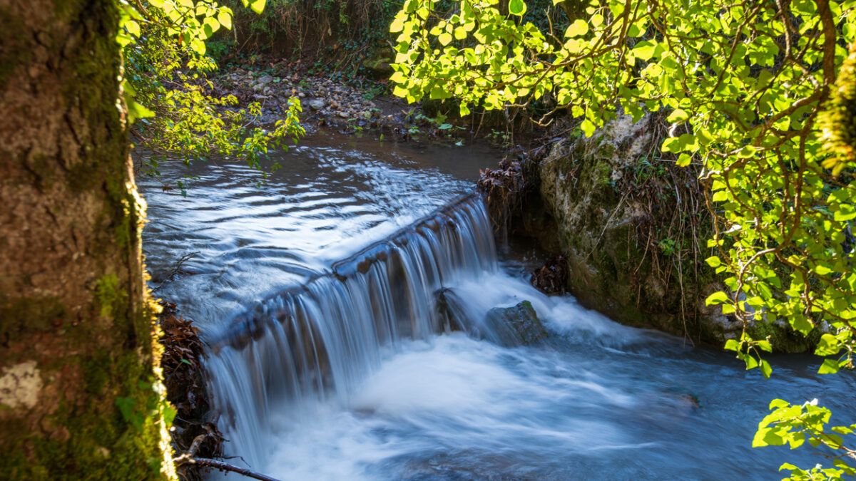 Εκδρομή στην Παύλιανη