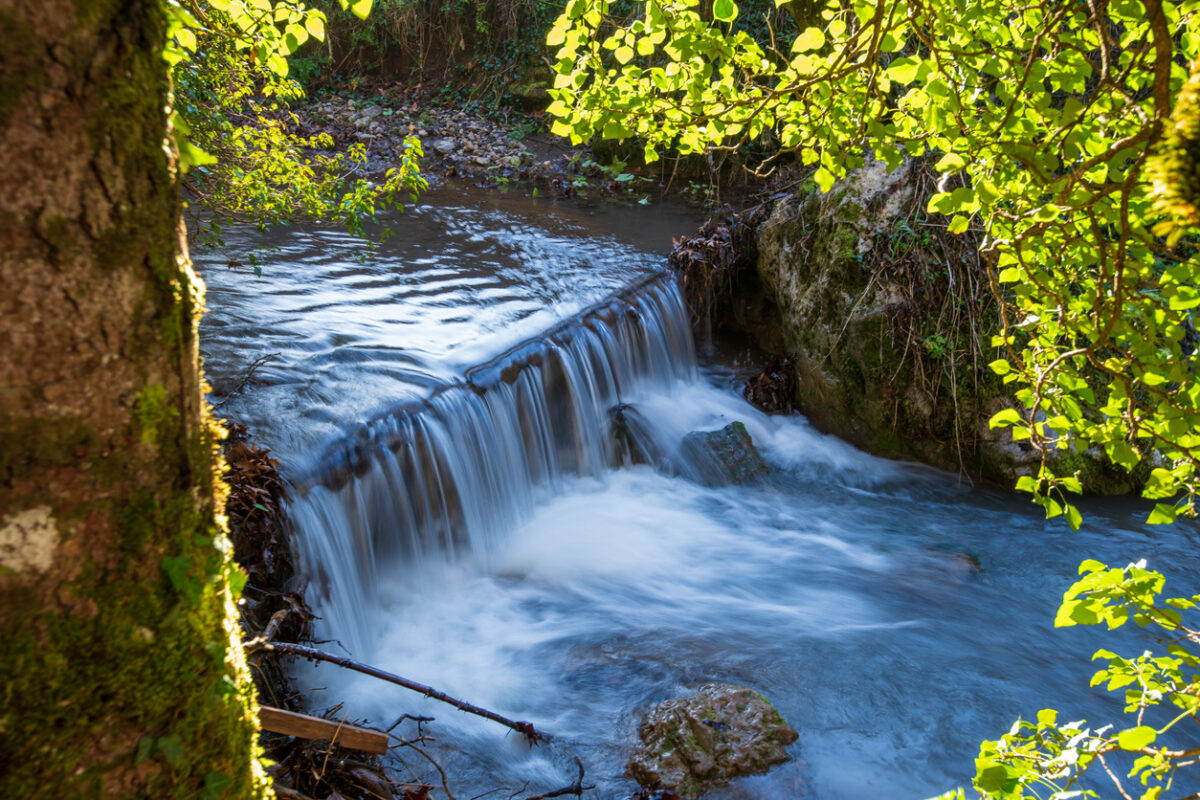 Εκδρομή στην Παύλιανη