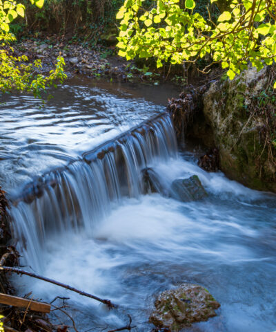 Εκδρομή στην Παύλιανη