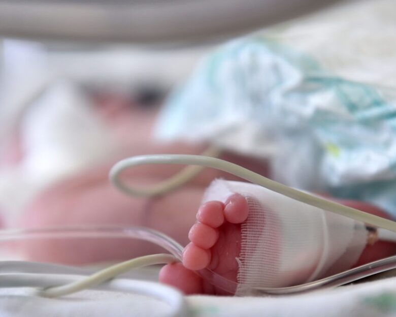 Καλλιθέα: Χωρίς ίχνη κακοποίησης το βρέφος που έχασε τη ζωή του – Η εξήγηση των γονιών του για τη μεταφορά του σε κτηνιατρείο