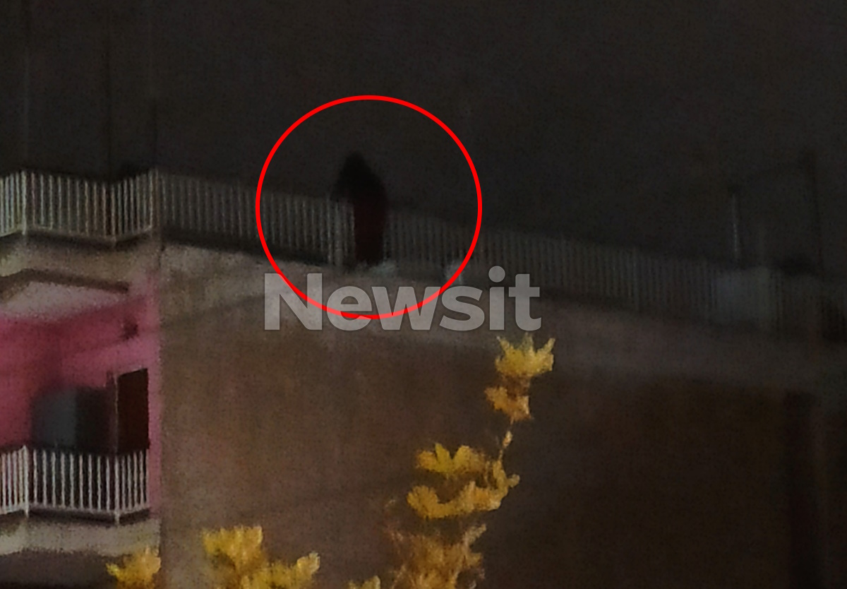 Κορυδαλλός