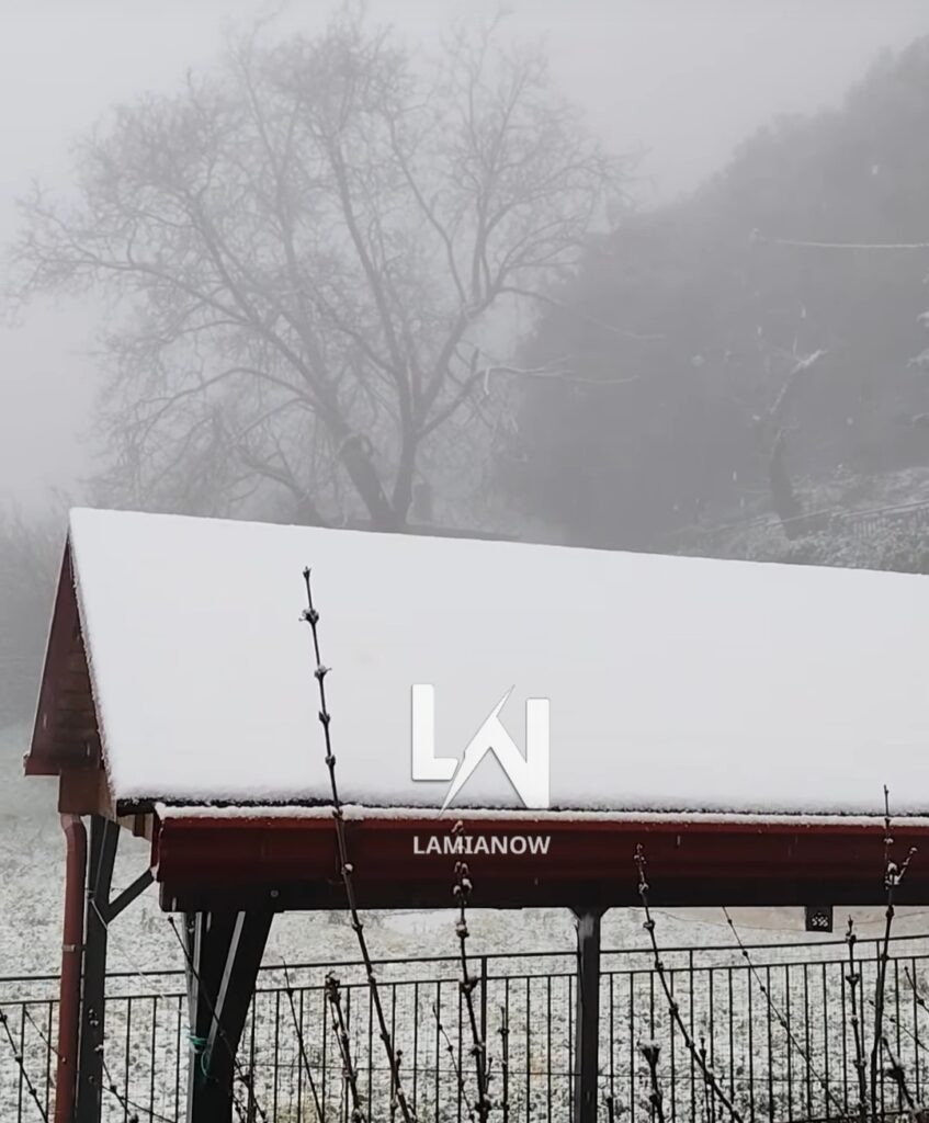 Κουμαρίτσι