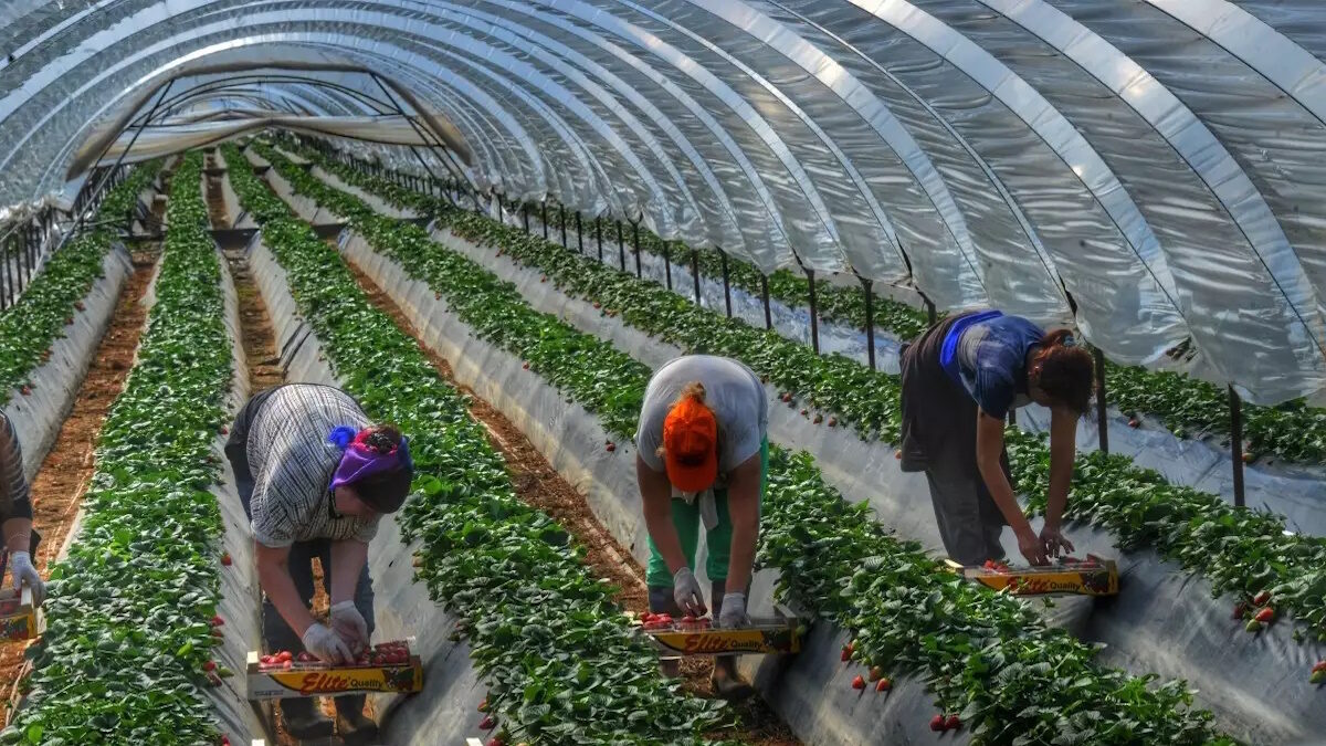 Φωτογραφία Αρχείου: Eurokinissi