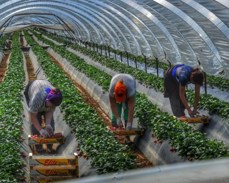 Φωτογραφία Αρχείου: Eurokinissi