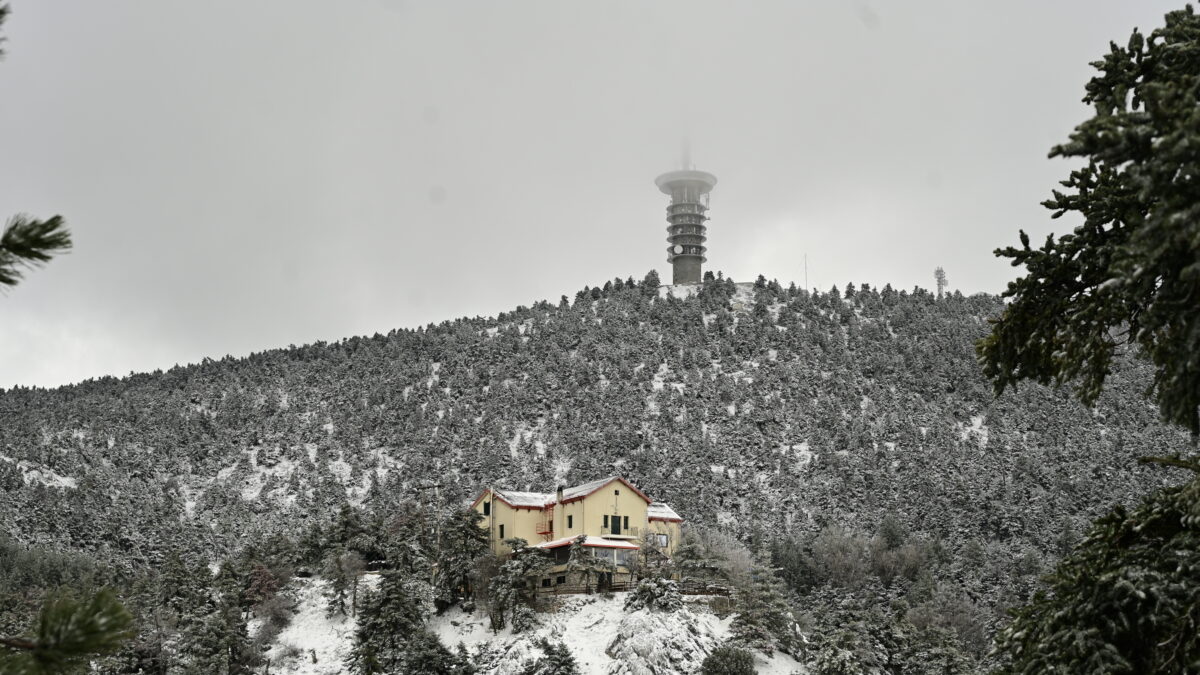 Καταφύγιο Μπάφι