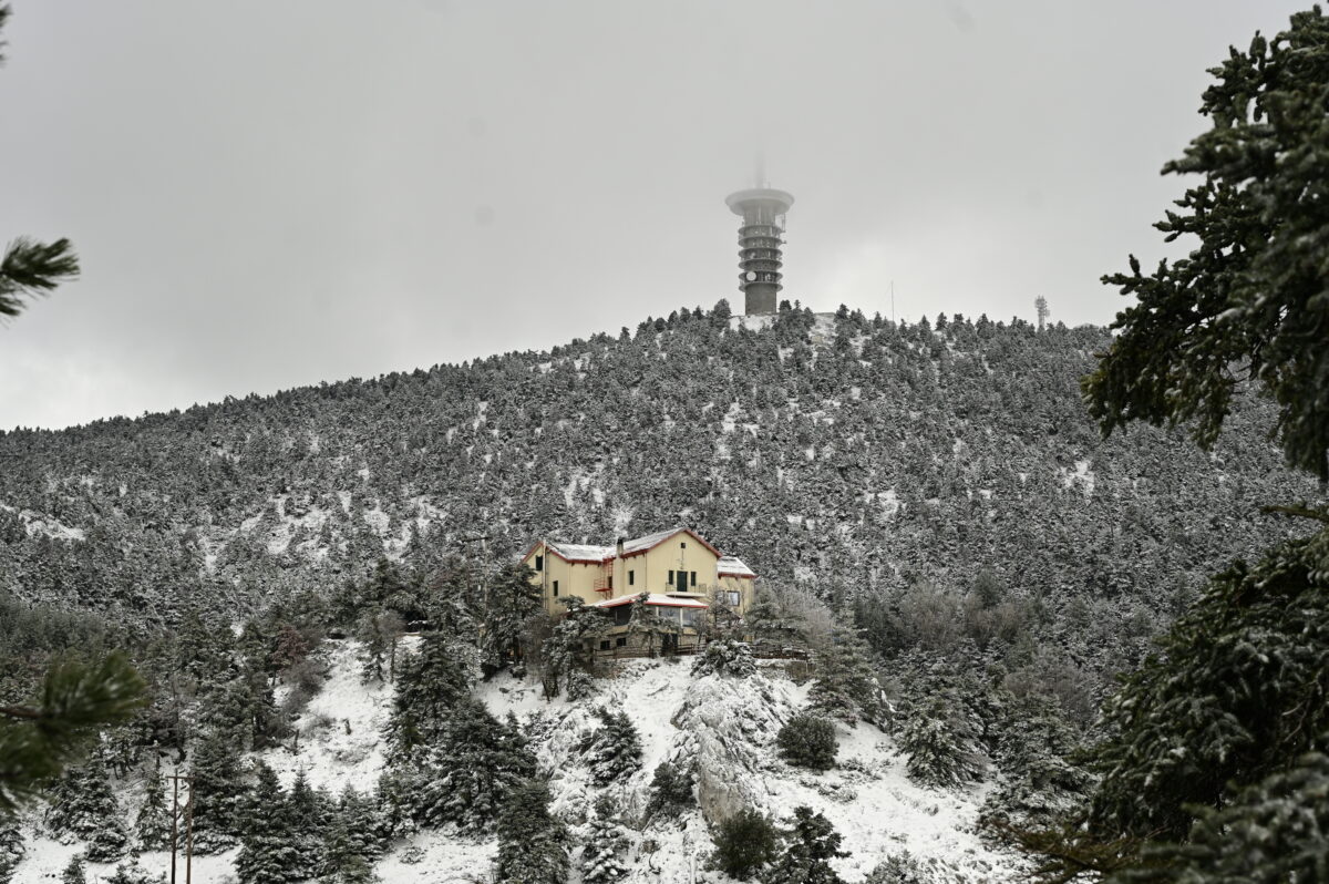 Καταφύγιο Μπάφι