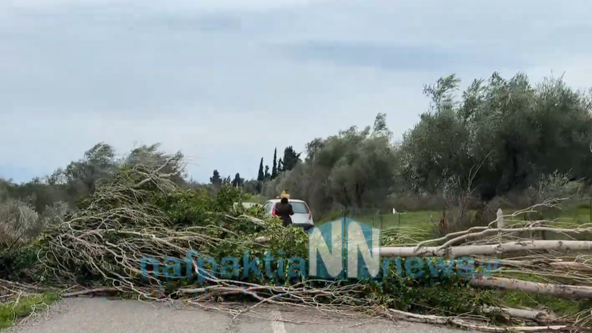 ΦΩΤΟ nafpaktianews