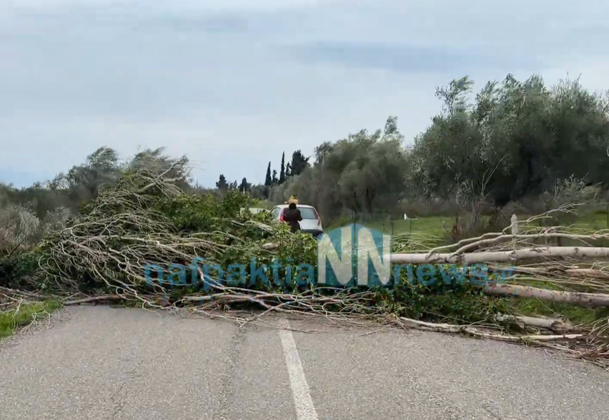 ΦΩΤΟ nafpaktianews