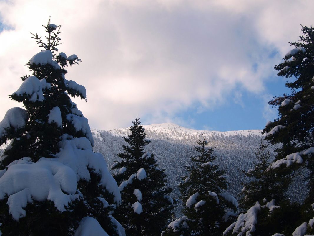 Ορεινή Ναυπακτία
