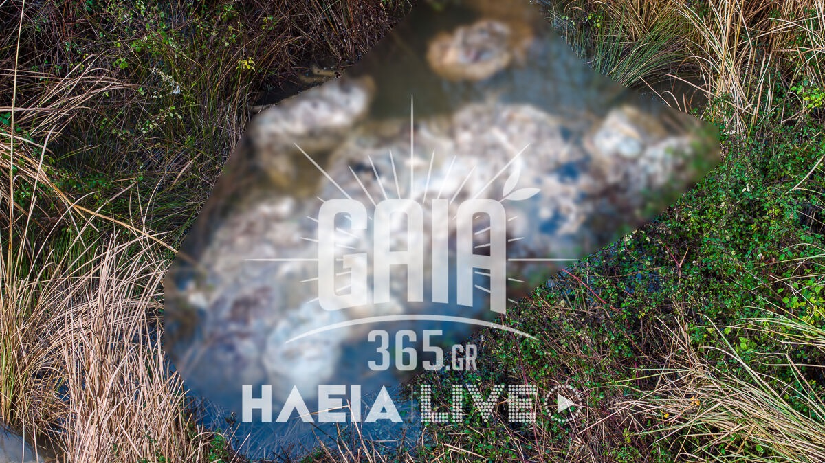 nekra provata alfeios