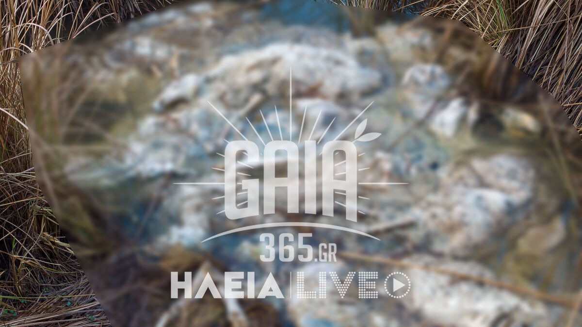 nekra provata alfeios