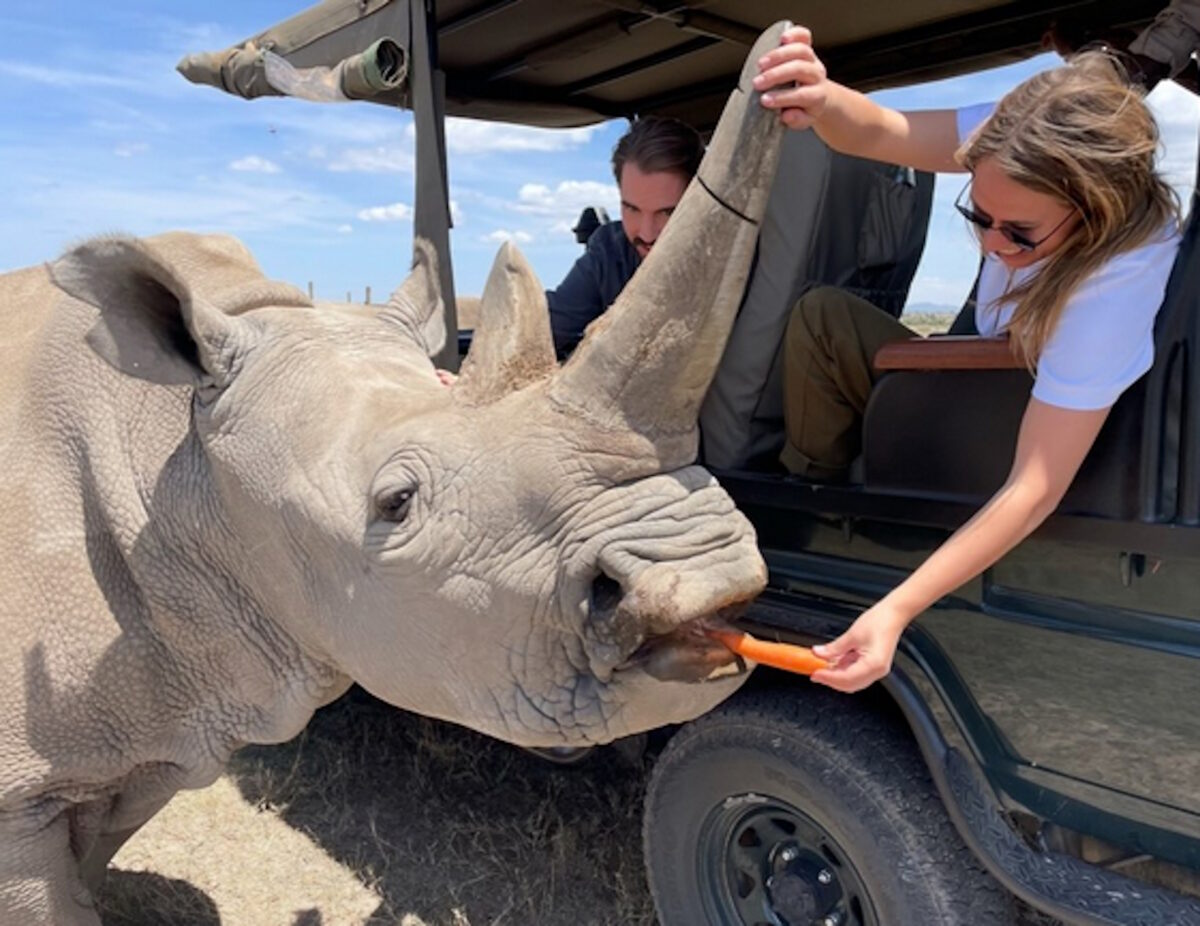 Φίλιππος Ντε Γκρες και Νίνα Φλορ σε εικόνα από πάρκο της Αφρικής