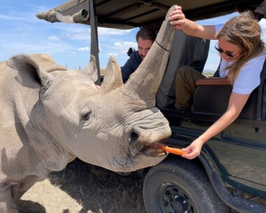 Φίλιππος Ντε Γκρες και Νίνα Φλορ σε εικόνα από πάρκο της Αφρικής