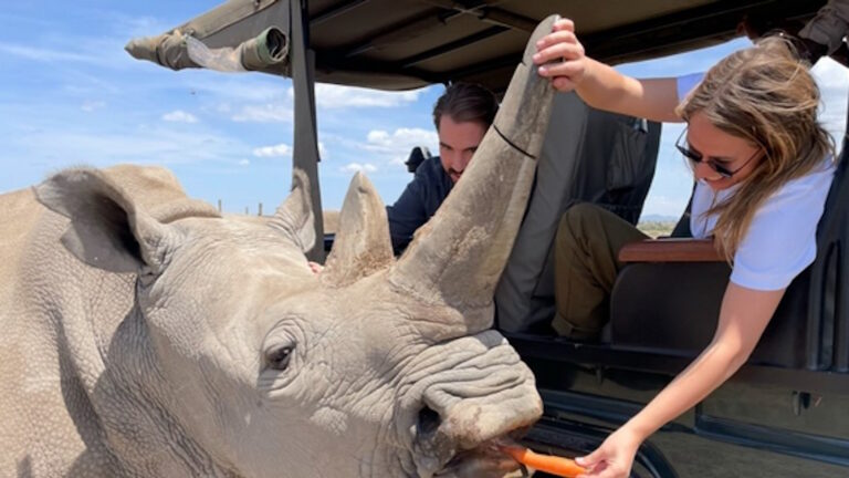 Φίλιππος Ντε Γκρες και Νίνα Φλορ σε εικόνα από πάρκο της Αφρικής