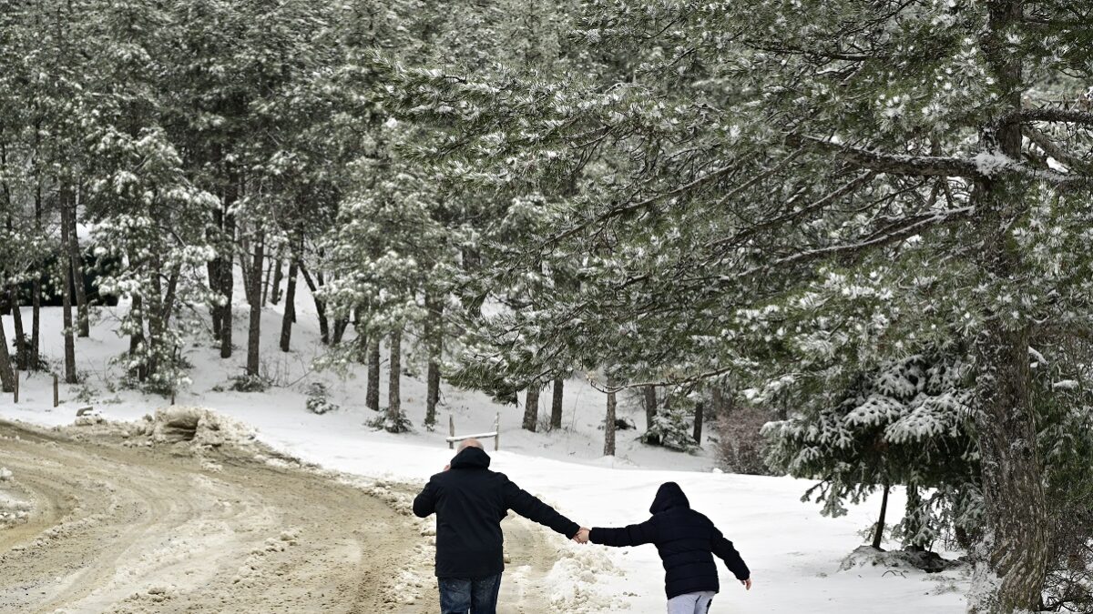 Χιόνια και παγωνιά