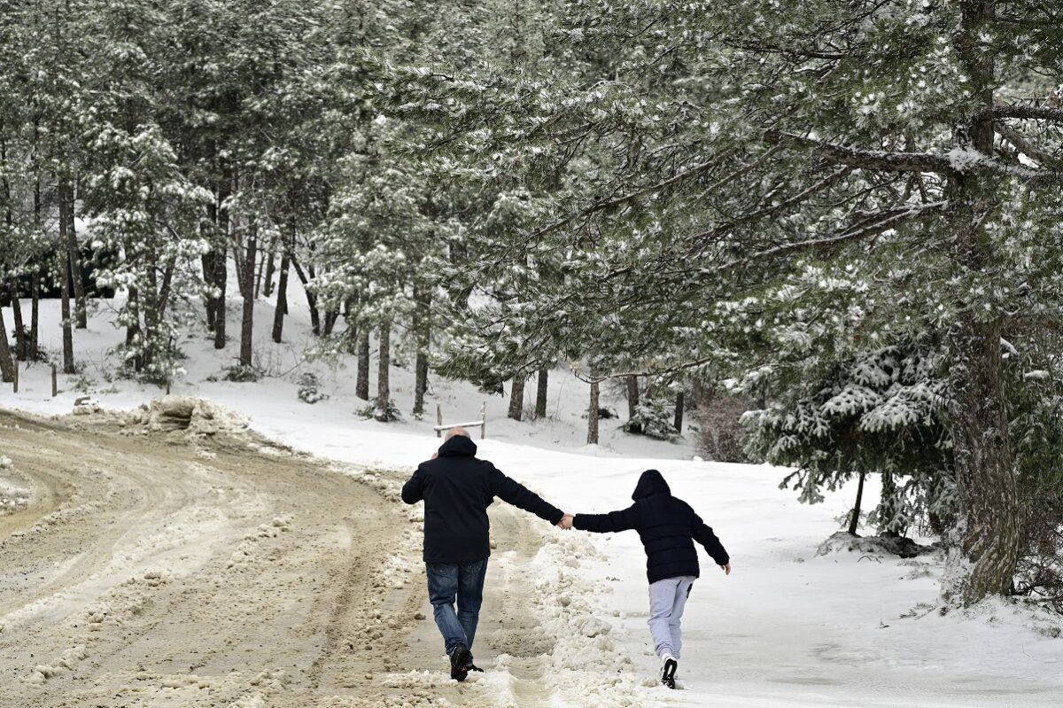 Χιόνια και παγωνιά